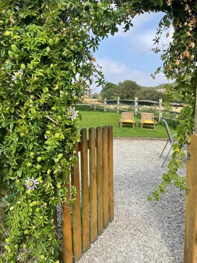Holmdale Holiday Cottages ライ エクステリア 写真
