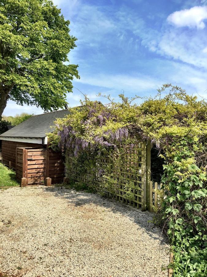 Holmdale Holiday Cottages ライ エクステリア 写真
